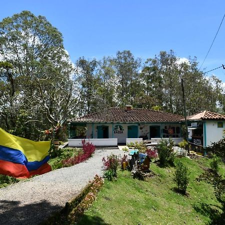 Bacoa Hostel Guatapé Kültér fotó